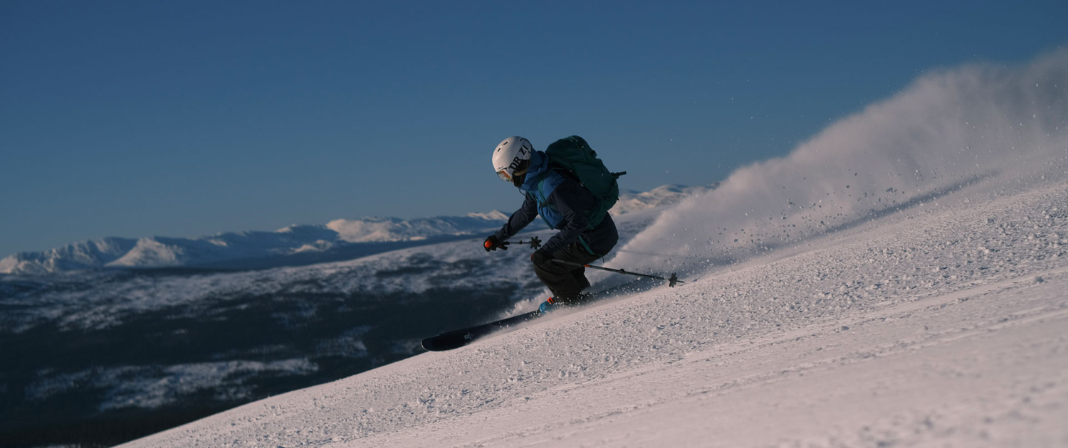 Alpin skidåkning